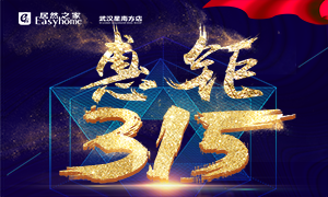 星南方店丨服務(wù)再升級(jí)，惠鉅315！家裝建材購(gòu)物不再斗智斗勇！
